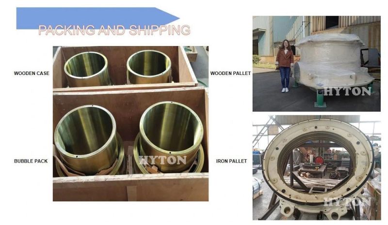 Apply to Nordberg Cone Crusher Wear Parts HP300 HP400 Torch Ring for Stone Crushering Machine