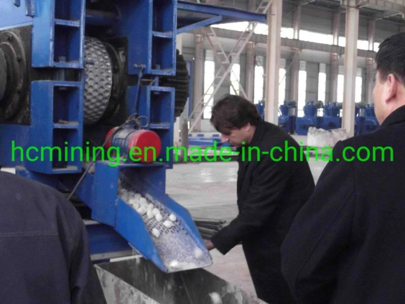 Hot Selling Whole Set Coal Briquetting Plant