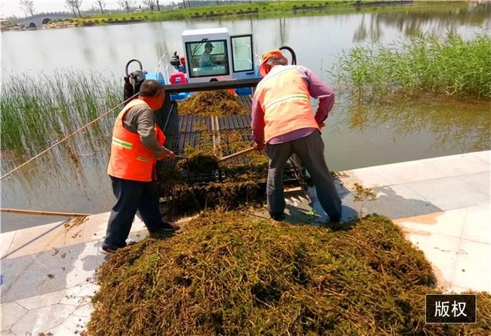 Aquatic Weed Harvester Water Hyacinth Harvester Trash Skimmer Boat