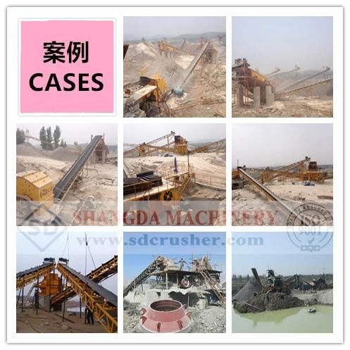 Coal/Gypsum/Limestone/Quartz Use Roller Crusher Machine/Equipment