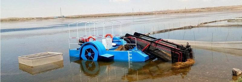 High Quality Rubbish Garbage Collection Boat in Water Aquatic Weed Harvester