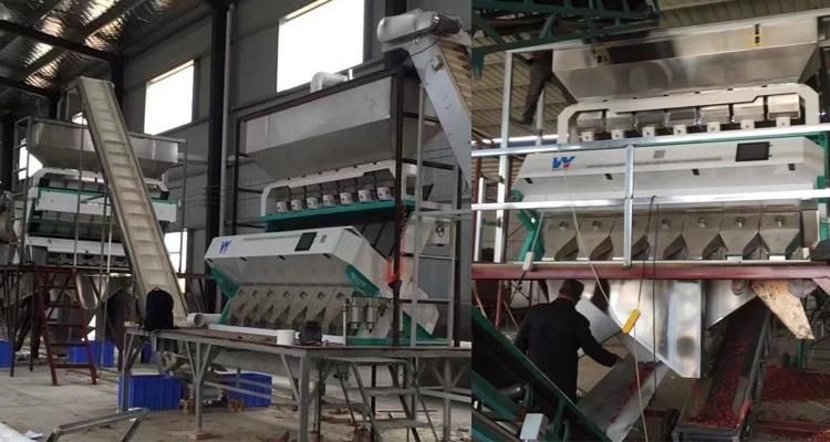 Quartz Grains Color Separating Machinery for Ore Color Sorting