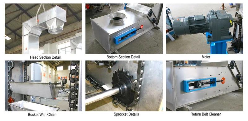 Pivoted Bucket Elevator Is Used for Lifting Additive Materials Industry