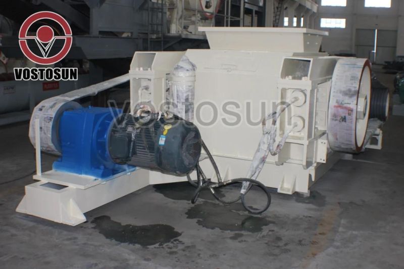 Professional Smooth Toothed Double Two Roller Stone Crusher for Sales