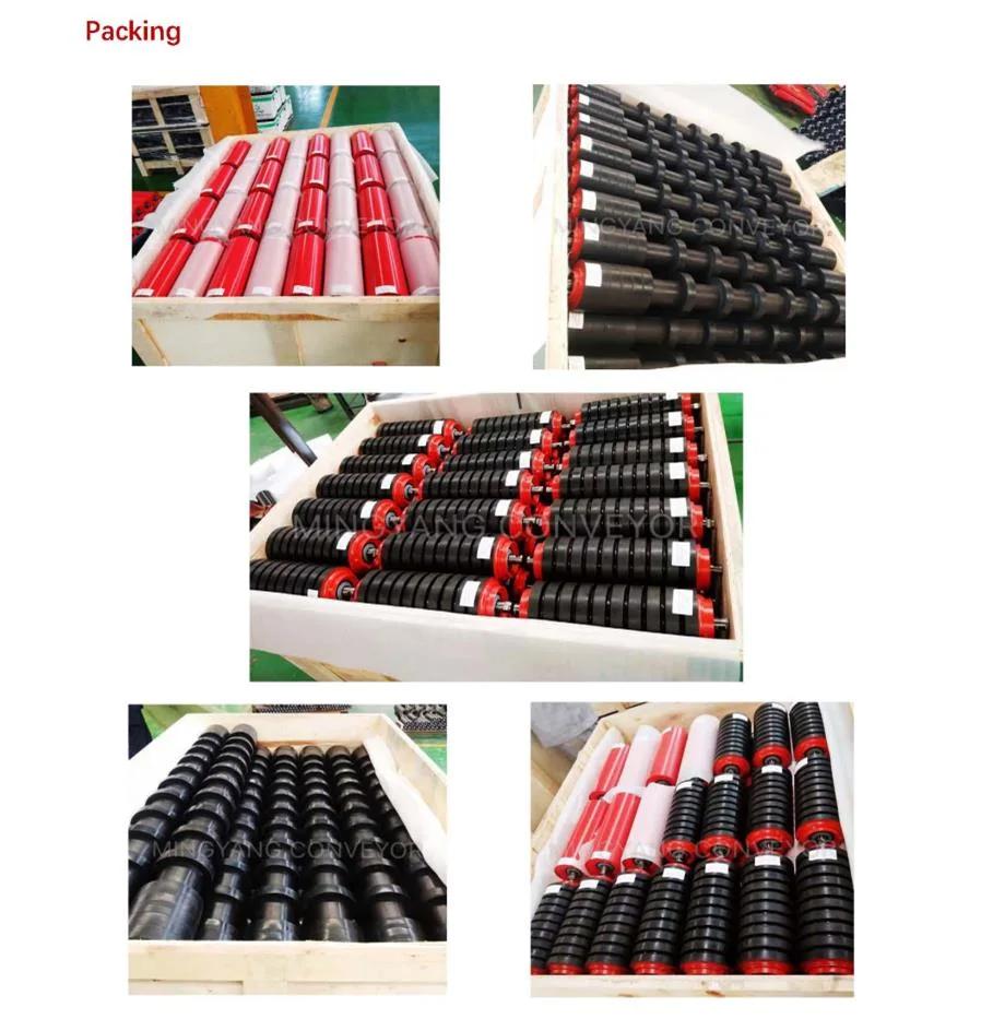 Conveyor Plastic HDPE Roller with Tk Seal
