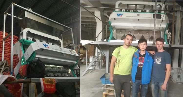 professional Quartz Sand Color Separator Machine From Wenyao