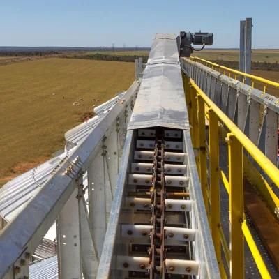 Applied to Various Harsh Environments Plate Chain Scraper Conveyor