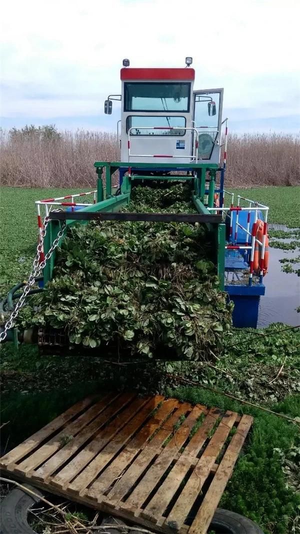 Aquatic Weed Harvester Capable of Cutting/Loading/Unloading Water Weed Harvester