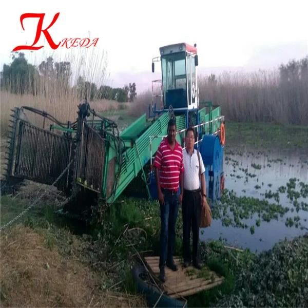 Water Lily, Water Hyacinth, Reed and Floating Grass in River Combine Harvester