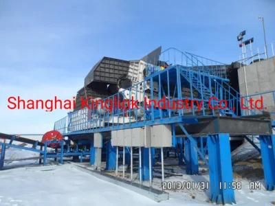 Double/Single Toothed Roller Crusher/Sizing Crusher/Coal Sizer/Screening Crusher