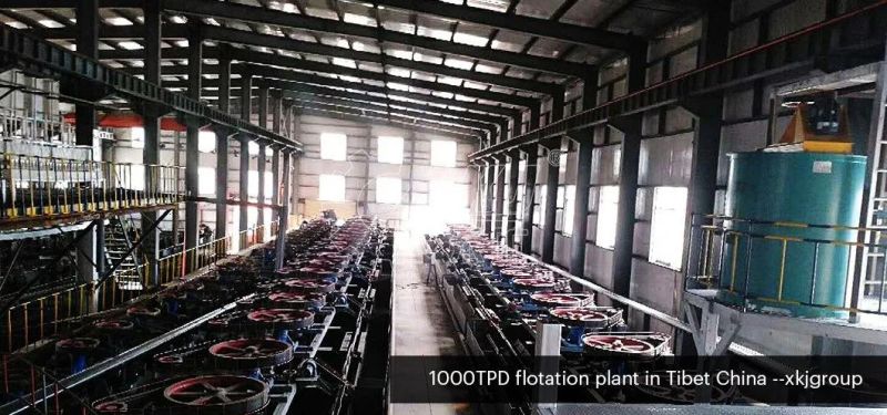 5tph Industrial Hard Rock Gold Mining Equipment Gold Placer Ore Beneficiation Plant