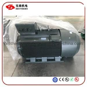 Y Series Three Phase AC High Efficiency High Power Electric Motor with Water Turbine