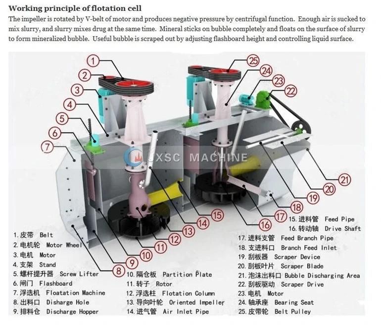 Flotation Cell Separator Machine Copper Ore Processing Plant