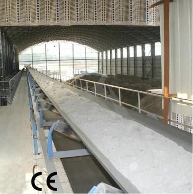 Heavy Duty Structure Fixed Flat Belt Conveyor for Powder with High Quality
