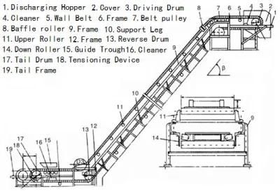 Walled Belt Conveyor