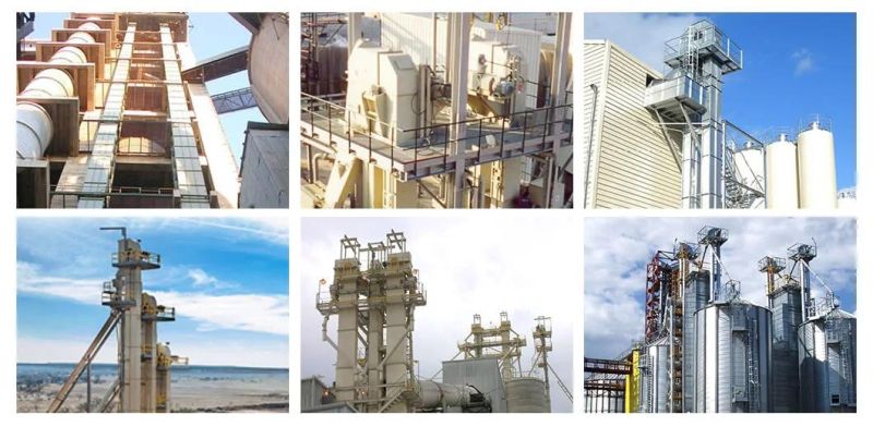 Cement/Coal/Grain/Urea Fertilizer Bucket Elevator Manufacturer China