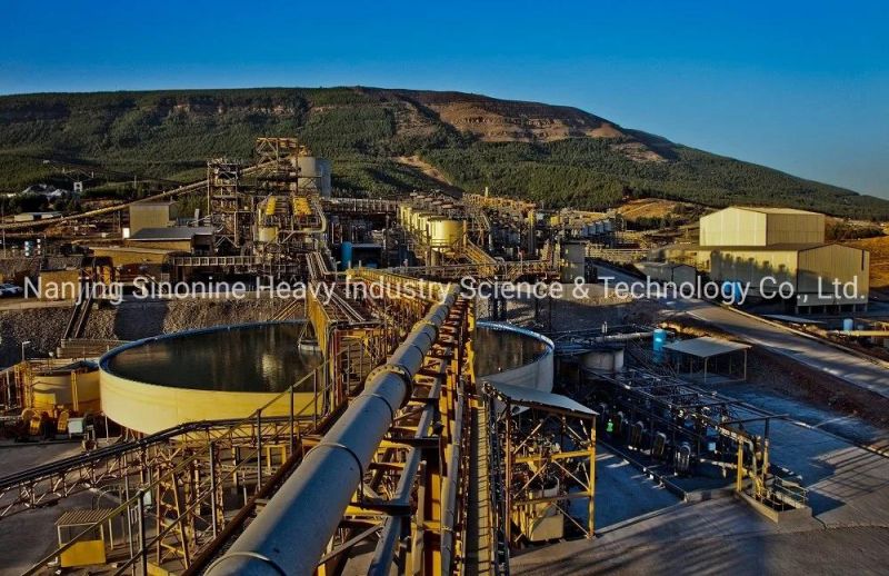 High-Rate Famous Brands Manufactured in China Sedimentation Tank Mining Thickener