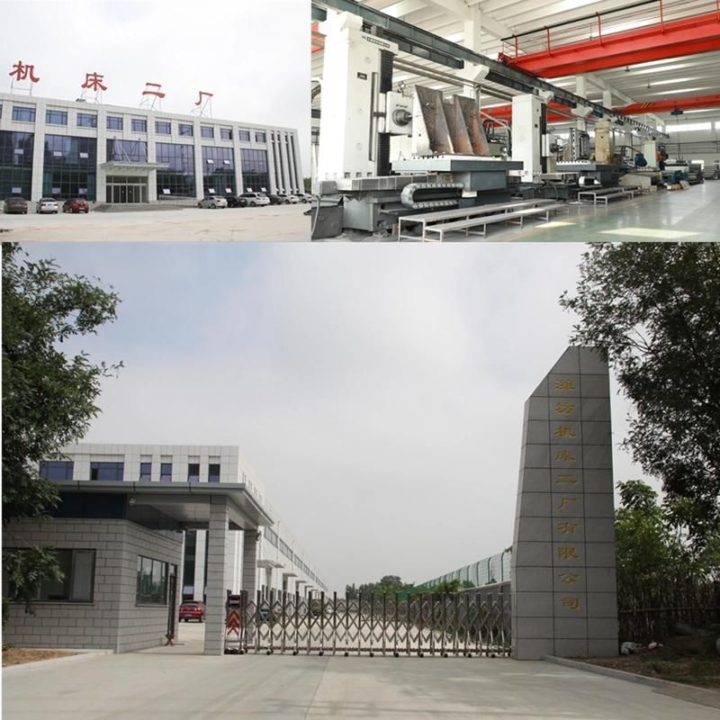 Link Chain Apron Conveyor Roller Conveyor Chain on Pan Elevators