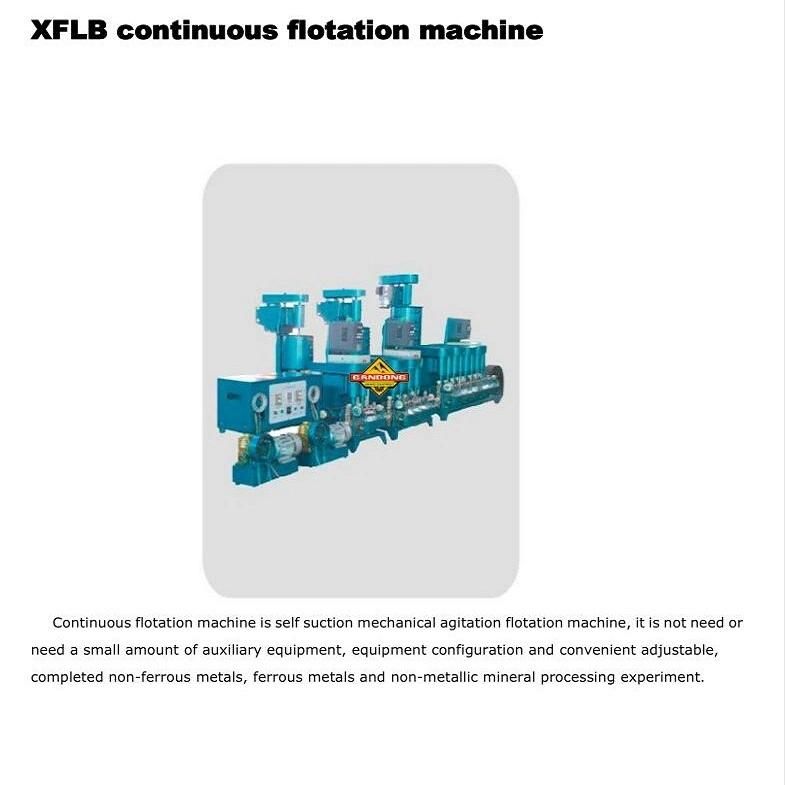Fx Mechanical Agitated Continuous Flotation Machine Labratory Flotation Cells for Sale
