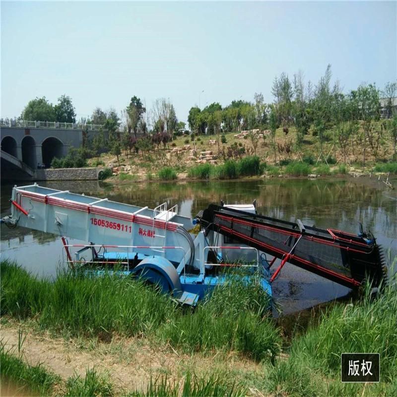 Head Dredging Aquatic Weed Harvester River Plants Cutting Machine