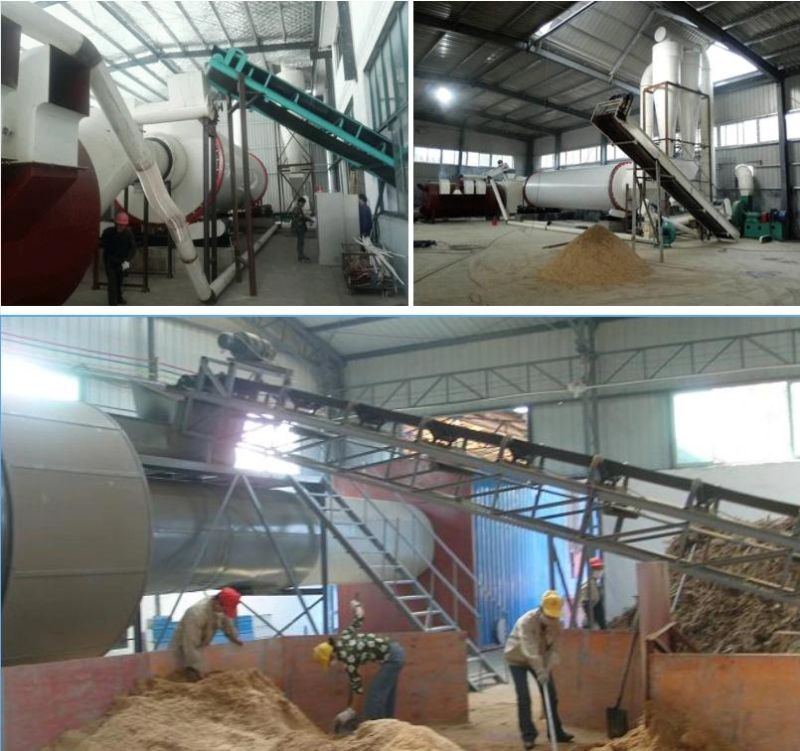 CE Certification Biomass Wood Chips Rotary Screw Drum Dryer