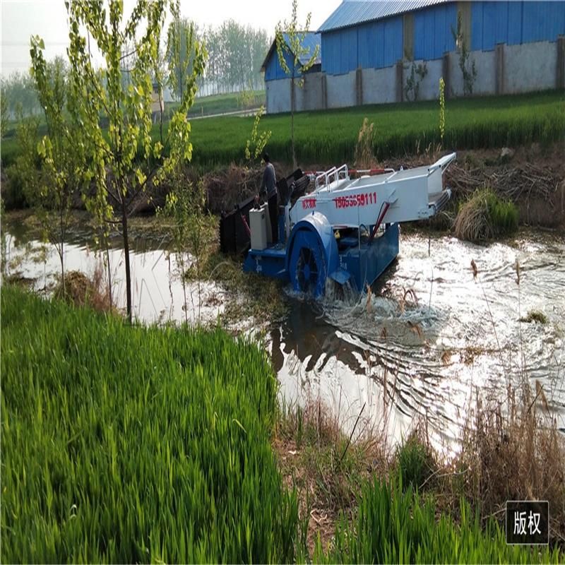 China Professional Maker High Efficience Aquatic Weed Harvester Water Rubbish Salvage Boat