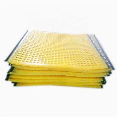 Single Deck Polyurethane Screen Panel for Vibrating Screens in Mining