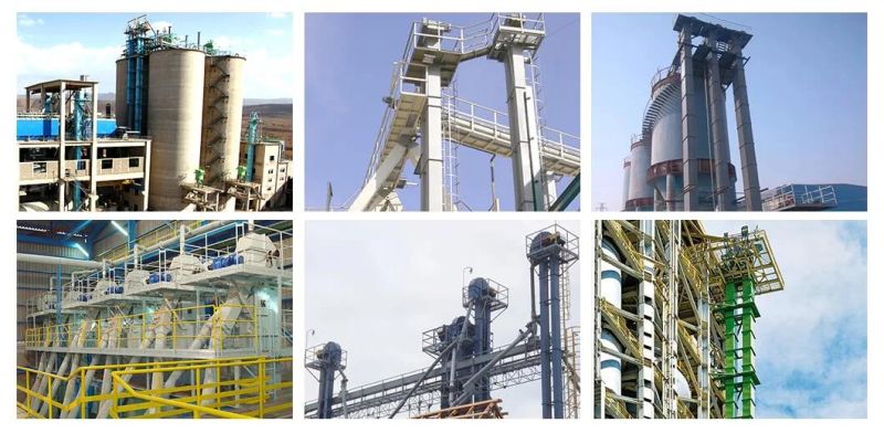 China Chain Type Cement Industry Bucket Elevator