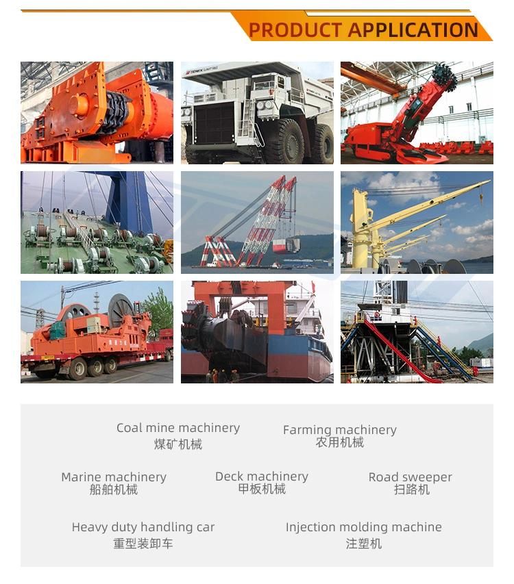 Tianshu Five Star Hydraulic Motor with High Quality for Hoisting Transport Equipment Hydraulic Motor