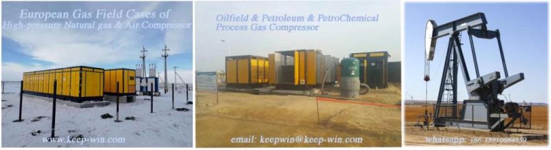 China Factory Price 1.0m3/Min 30bar Middle High Pressure Piston Pump Air Compressor