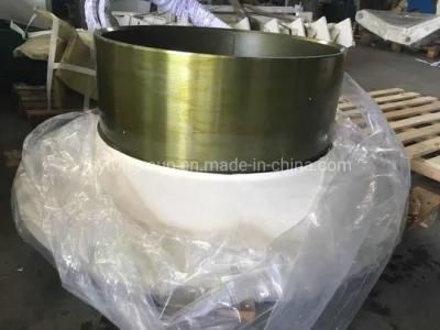 Cone Crusher Parts Spares Slip Ring Gp500s Apply to Nordberg Price List