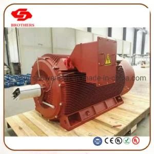 High Power Three Electric Motors Use for Large Francis Turbine