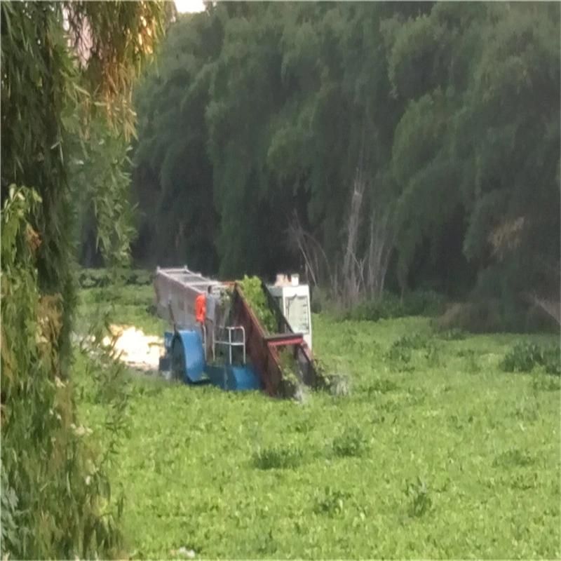 Low Price Trash Skimmer Water Hyacinth Cutting Harvester for Thailand