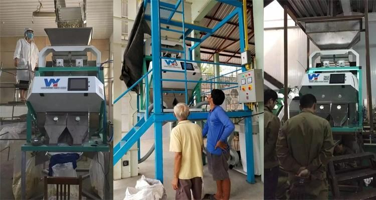 professional Quartz Sand Color Separator Machine From Wenyao