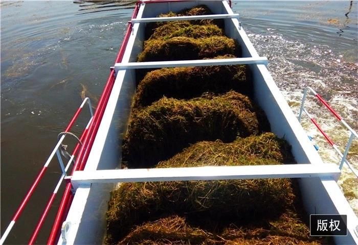 Aquatic Weed Harvester Water Hyacinth Harvester Trash Skimmer Boat