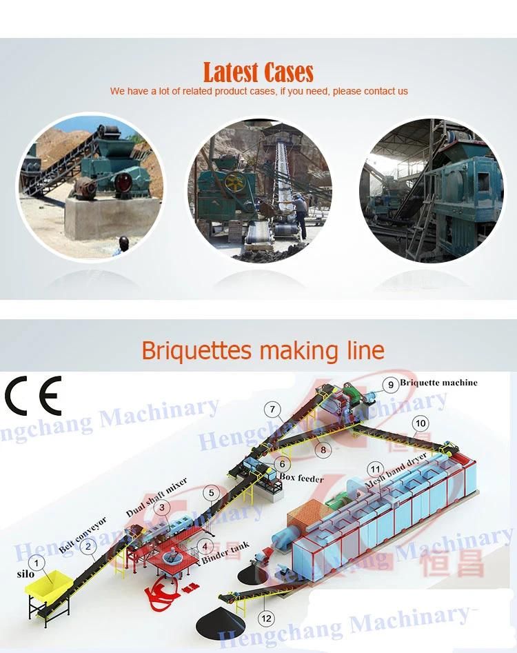 Direct Supplier Coal/Charcoal Briquette Plant with Different Shape