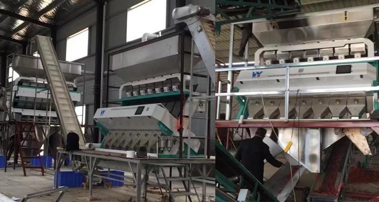 professional Quartz Sand Color Separator Machine From Wenyao