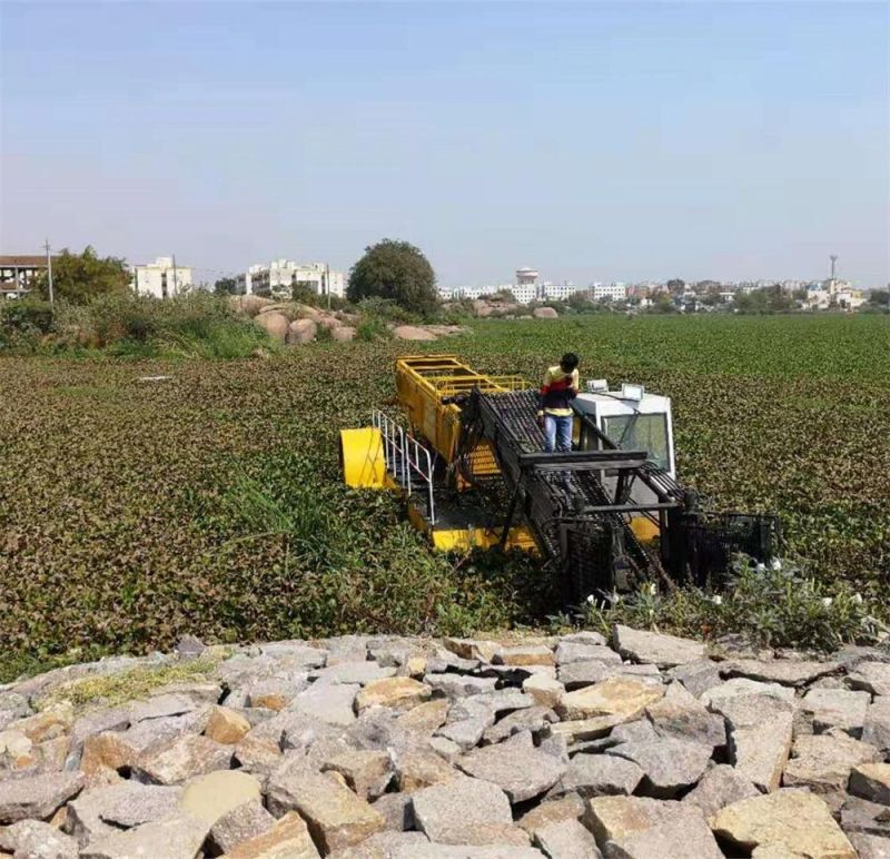 Automatic Moving and Cleaning Boat for River