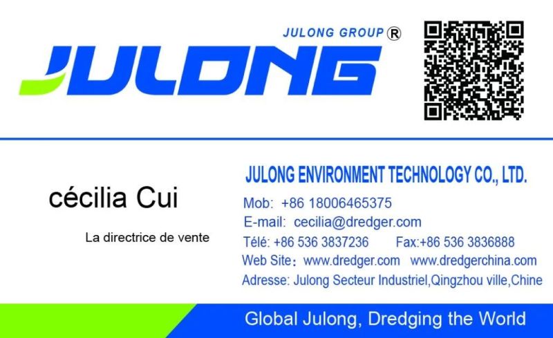 Julong Machine Export Overseas Markets Cutter Suction Dredger