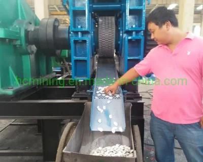 China Charcoal Briquette Making Machine for Sale (QYQ)