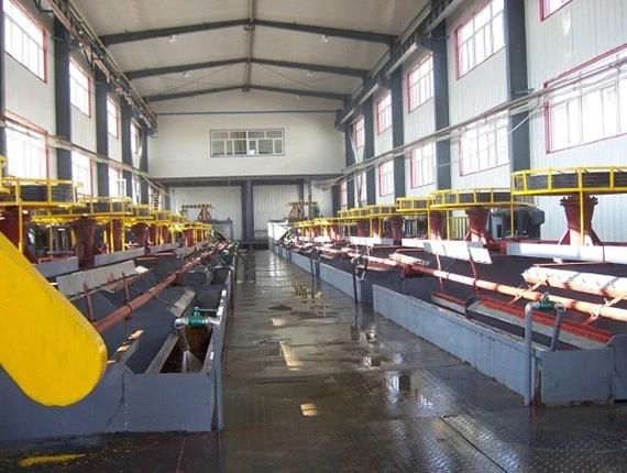 Copper Ore Flotation Processing Plant