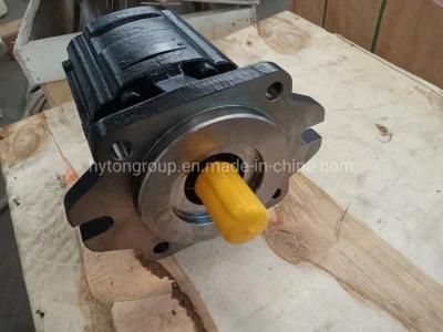 HP100 Cone Crusher Spare Parts Oil Pump Apply to Nordberg From Hyton