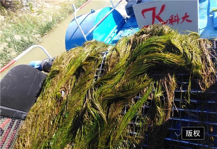 Aquatic Weed Harvester Water Hyacinth Harvester Trash Skimmer Boat