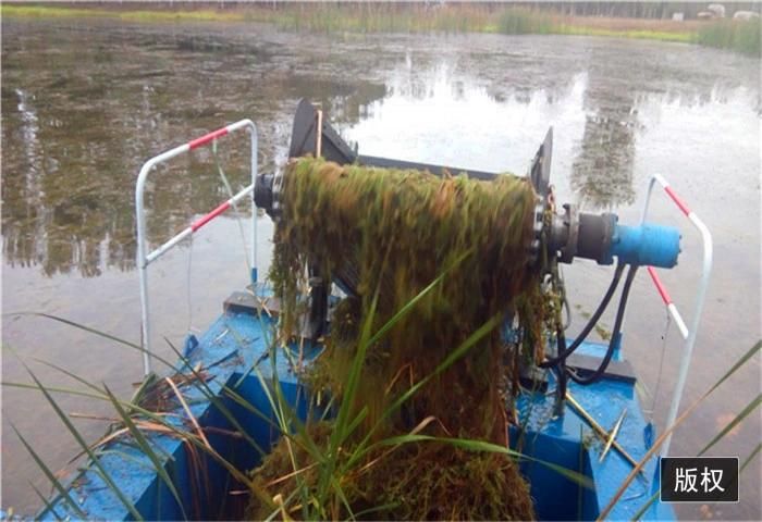 Aquatic Weed Harvester Water Hyacinth Harvester Trash Skimmer Boat