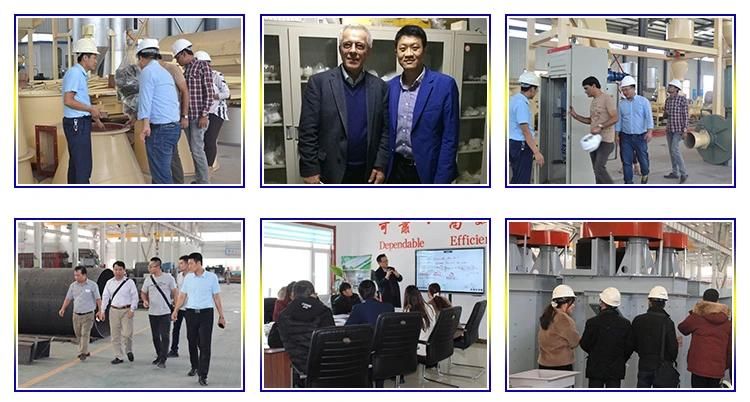 China High Gradient Conveyor Belt Permanent Magnetic Separator
