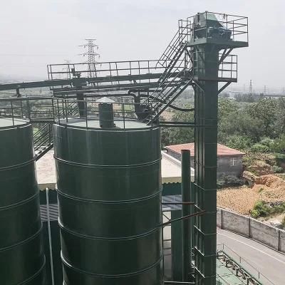 Belt Type/Chain Vertical Bucket Elevator in Cement Plant