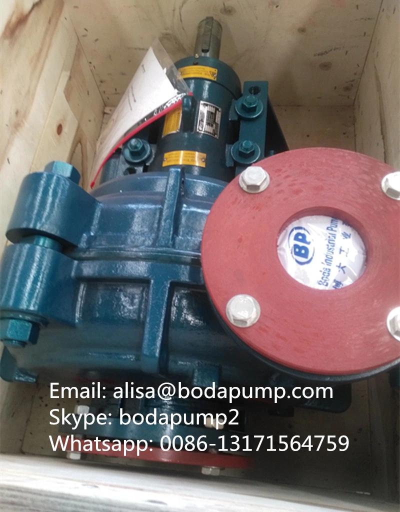 Coal Water Slurry Pump