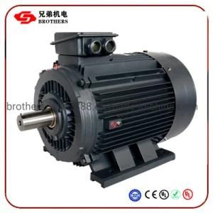 Water Turbine with Three Phase AC High Efficiency High Power Electric Motor