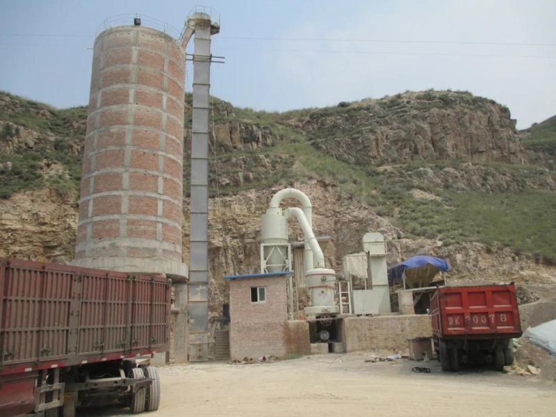 Belt Type Limestone Bucket Elevator for Cement/ Basalt/Barite/Ballast/Andesite Stone/Aggregate/Glass