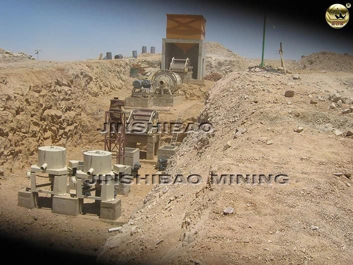 D80 Model Alluvial Gold Plant Gold Mining Centrifugal Concentrator